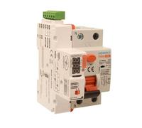 RCCB Interruttore Differenziale Puro Riarmo Automatico, Tipo AC 1P+N 3M 6000A 30
