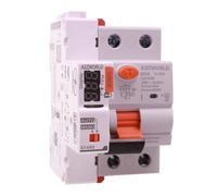 Interruttore Differenziale Selettivo Tipo AS Con Riarmo Automatico,300mA / 0,3A 100A, Salvavita Tipo S 1P+N 10kA, 3 Tentativi (10s/60s/300s), Ritardo Fino a 500ms, 3 Moduli DIN 220V AC