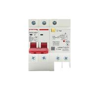Interruttore differenziale SPD 230 V 2P con sovraccarico e sovratensione protezione contro i fulmini dispositivo di dalle perdite(20A)