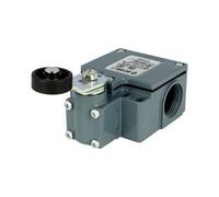 Interruttore finale leva R 40 mm, rullo in plastica Ø20 mm FZ 554