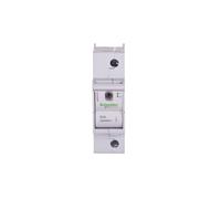 Interruttore fusibile 1P 63A D02 MGN02163 Acti9