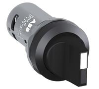 Interruttore girevole compatto C2SS1-10B-11 CP 1SFA619200R1076