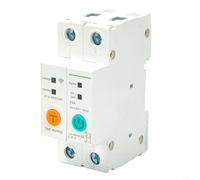 Interruttore intelligente WiFi 2p 63a compatibile con app Ewelink per telecomando e assistente vocale integrazione guida DIN (25A)