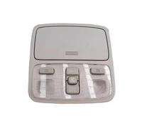 Interruttore Luce di Lettura Interna per Hyundai Tucson 2004-2009 92820-2E000 (Gruppo luci Tetto Grigio)