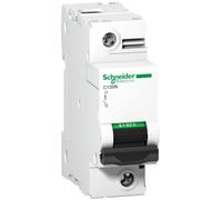 Interruttore magnetotermico 1P B 125A 10kA AC C120N A9N18343