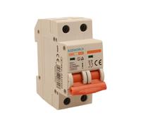 Interruttore Magnetotermico 32A C32 Bipolare 2P Curva C 6kA 2 Moduli DIN 220V AC