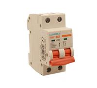 Interruttore Magnetotermico 50A C50, Bipolare 2P, Curva C 10kA, 2 Moduli DIN 220V AC, Certificato IEC60898-1, Serie Professionale PB8H