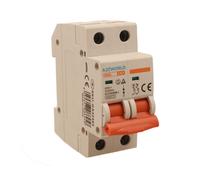 Interruttore Magnetotermico 63A C63 Bipolare 2P Curva C 6kA 2 Moduli DIN 220V AC