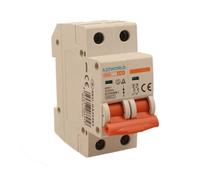 Interruttore Magnetotermico 63A C63, Bipolare 2P, Curva C 6kA, 2 Moduli DIN 220V AC, Certificato IEC60898-1, Serie SB6L