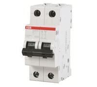 Interruttore magnetotermico ABB 2P 10A 10KA C 2M S202M S550284