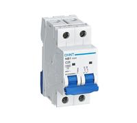 Interruttore Magnetotermico Chint NB1-63H 2P 25A 10kA C 2 Moduli 179829