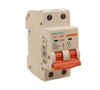 Interruttore Magnetotermico Curva D 63A D63, Bipolare 2P 10kA, 2 Moduli DIN 220V AC, Certificato IEC60898-1, Serie Professionale PB8H