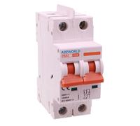 Interruttore Magnetotermico DC 32A, MCB DC 2P 500V 10kA, Senza Polarità, con Separatore tra Poli, 2 Moduli IP20, per Fotovoltaico Batterie e Impianti in Corrente Continua, Modello P8BZ