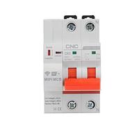 Interruttore Magnetotermico Differenziale 2P Smart Circuit Interruttore WiFi Protezione Cortocircuito Tempi Switch Telecomando(100A)