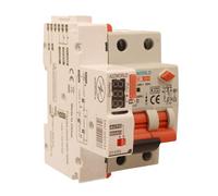Interruttore Magnetotermico Differenziale Con Riarmo Automatico, RCBO Tipo AC Curva C, Idn 30mA / 0.03A, In 16A, 1P+N 6kA, 3 Moduli, con 3 Tentativi di Riarmo (10s/60s/300s)
