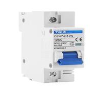 Interruttore Magnetotermico Differenziale, DC 12V 24V 36V 48V 72V Protezione batteria 80A 125A 63A 1P 2P Interruttore interruttore di cortocircuito Automatico tipo B AC-DC da 2000W a 6000W(1P-1P,125A)