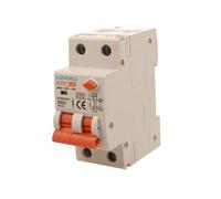 Interruttore Magnetotermico Differenziale Doppia Leva 30mA 20A C20 230V, RCBO Tipo AC Curva C, 1P+N 6kA 30mA, 2 Moduli DIN