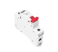 Interruttore Magnetotermico Differenziale GYM10 1P 6KA AC MCB Din Rail 220V 400V Mini Interruttore Automatico 6A-63A Produttore Diretto Dalla Fabbrica CE CB Approvato(40A)