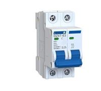 Interruttore magnetotermico DZ47-63 230V 400V 1P 2P 6A 16A 32A 40A 50A 63A(2P,10A)