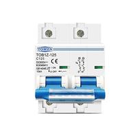 Interruttore Magnetotermico Interruttore automatico 2P 125A 100A 80A DC MCB 600V for interruttore principale batteria impianto fotovoltaico(80A)