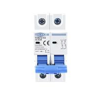 Interruttore Magnetotermico Interruttore automatico solare 2P DC MCB 1000V 3A 6A 10A 16A 20A 25A 32A 40A 50A 63A for impianto fotovoltaico(50A)