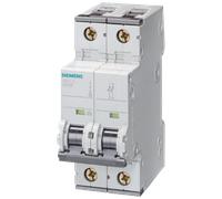 Interruttore magnetotermico Siemens 2P 10A 15kA tipo C 2 moduli 5SY72107