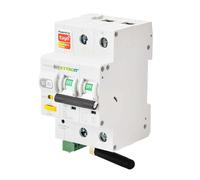 Interruttore Magnetotermico Smart WIFI 2P 63A Riarmo Automatico App TUYA Occupa