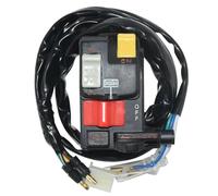 Interruttore Manubrio Per TRX 300 Per TRX300FW Per Fourtrax 1988 1989 1990 1991-1995 Interruttore LH Start Stop Choke 35020-HC4-004