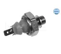 Interruttore pressione olio bianco 100 919 0025 MEYLE per AUDI VW SEAT