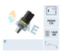 Interruttore pressione olio FAE 12419