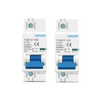 Interruttore principale della batteria del fotovoltaico 1P DC 80A 100A 250V(125A)