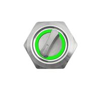 Interruttore rotante a pulsante con blocco, selettore in metallo a 2 o 3 posizioni, LED verde, momentaneo, 19 mm, 1 pezzo(3 Position,220V)
