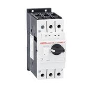 Interruttore Salvamotore Sm2R34-50A ( LOVATO cod. SM2R5000 )