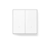 Interruttore senza neutro Mini modulo ricevitore 220V 110V Pulsante telecomando luce filo singolo(1Remote 2gang)
