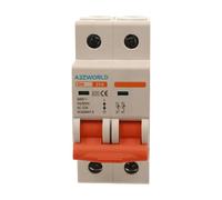 Interruttore Sezionatore 25A 2P 220VAC, Montaggio Su Guida DIN, Occupa 2 Moduli DIN (25A)