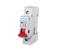 Interruttore Sezionatore 25A 40A 63A, 1P 240VAC, Montaggio Su Guida DIN, Occupa 1 Modulo (25A)