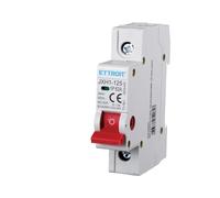 Interruttore Sezionatore 25A 40A 63A, 1P 240VAC, Montaggio Su Guida DIN, Occupa 1 Modulo (63A)