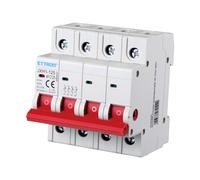 Interruttore Sezionatore 40A 63A 100A 125A, 4P 415VAC, Montaggio Su Guida DIN, Occupa 4 Moduli (125A)