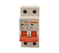 Interruttore Sezionatore 63A 2P 220VAC, Montaggio Su Guida DIN, Occupa 2 Moduli DIN (63A)