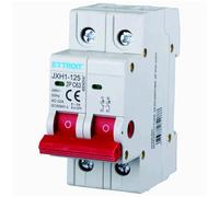 Interruttore sezionatore modulare 63A, 2P 2 poli, occupa 2 moduli DIN, 220V 230V AC, interruttore di isolamento
