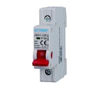 Interruttore sezionatore modulare compatto 1P 16A 220V Ettroit