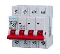 Interruttore sezionatore modulare compatto 4P 25A 220V Ettroit