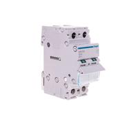 Interruttore sezionatore modulo 125A 2P SBN299 SBN