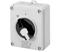 GEWISS - GW70401P Sezionatore Rotativo, Hp, Comando, Cassetta in Materiale Isolante, 16A 2P, Manopola Nera Lucchettabile, IP66/67/69