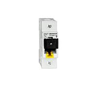 Interruttore sezionatore TITAN 25A, 1p, completo, con indicatore