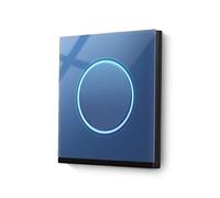 Interruttore Smart,Interruttore Touch 2 PCS LUSSO LUCE LUSSA INTERUISCAMENTO Punto touch Punto universale Illuminazione standard 1 Gang 1 Way Switch In vetro temperato Alimentazione elettrica(Blue)