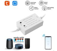 Interruttore Smart USB Connesso WiFi Controller WiFi per Tuya Breaker Timer