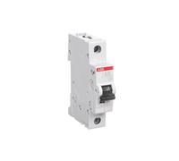 Interruttore sovracorrente 1P B 20A 6kA AC S200 2CDS251001R0205