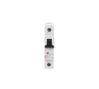 Interruttore sovracorrente 1P B 2A 10kA AC ASTI-ETIMAT 002121710