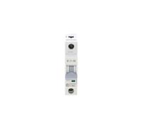 Interruttore sovracorrente 1P B 63A 6kA AC xPole Home 194827